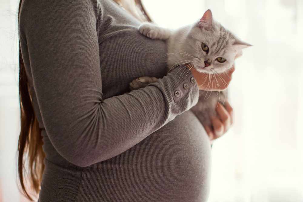 Posso tenere il gatto durante la gravidanza?