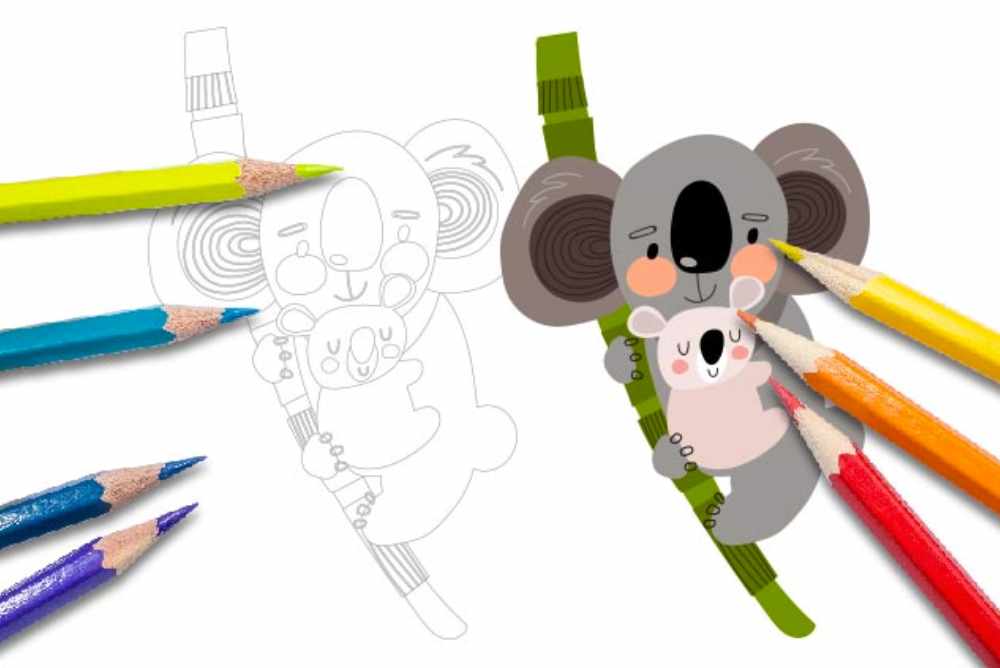 Disegni per bambini da colorare animali koala