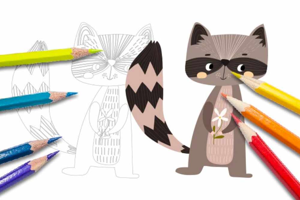 Disegni per bambini da colorare animali procione