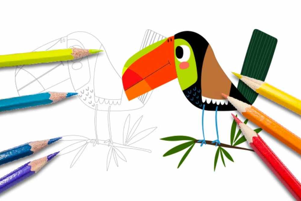 Disegni per bambini da colorare animali tucano